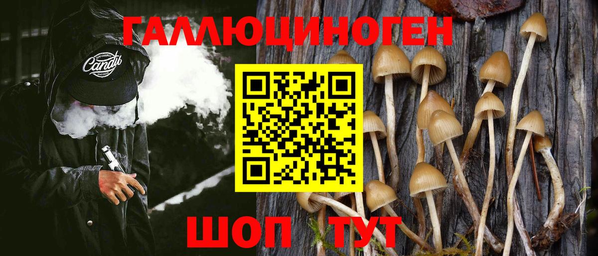 Россошь  Псилоцибиновые грибы Psilocybe  Вход с VPN  Псилоцибиновые грибы Cubensis 
