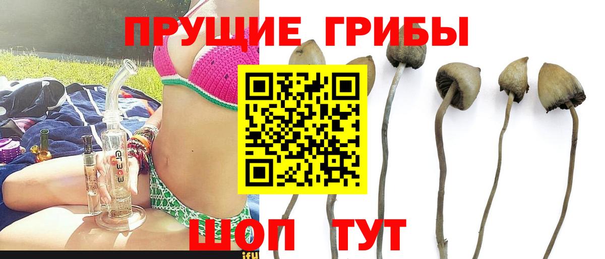 Галлюциногенные грибы MAGIC MUSHROOMS Россошь